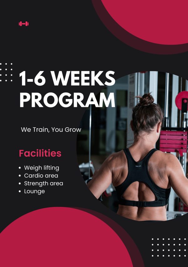 1-6 WEEKS PROGRAM